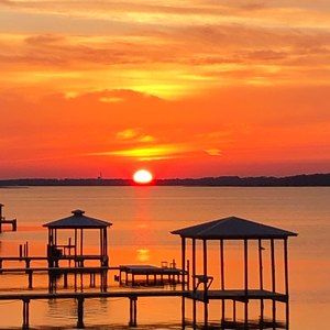 Meet your Posher, Anne